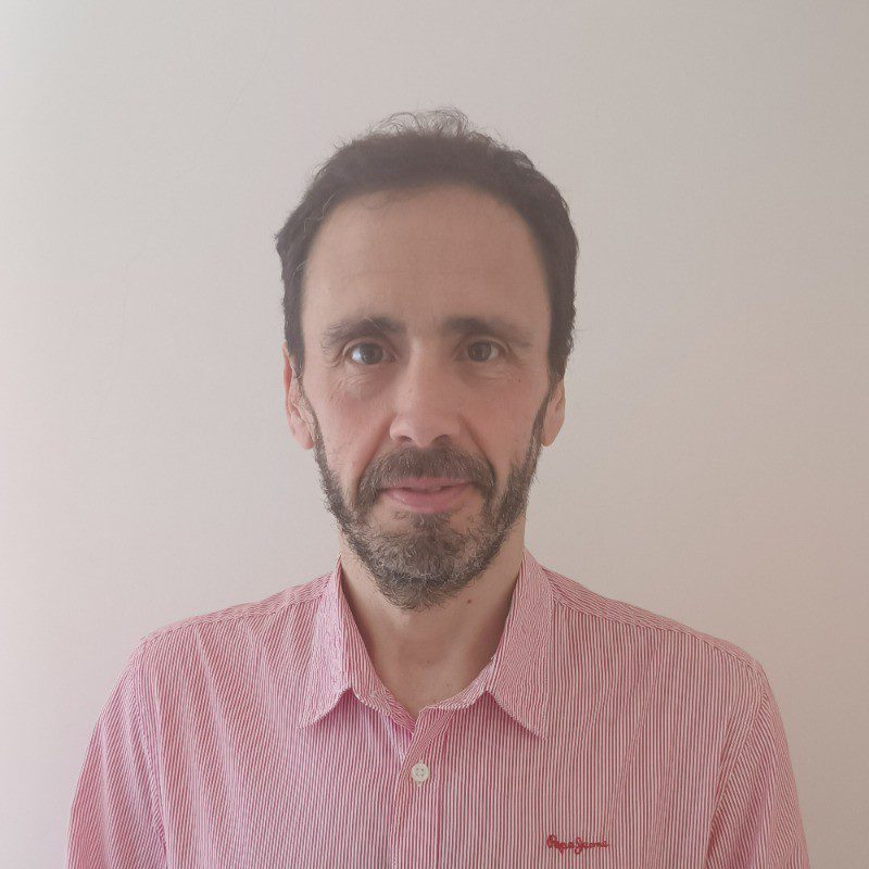 david
