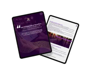 Ebook del presupuesto al beneficio