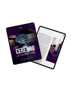 Cerebro, la capa que decide
